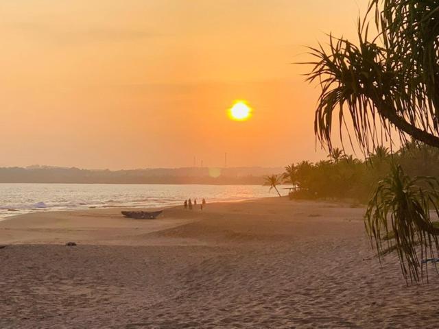 Mangrove Beach Cabana photo