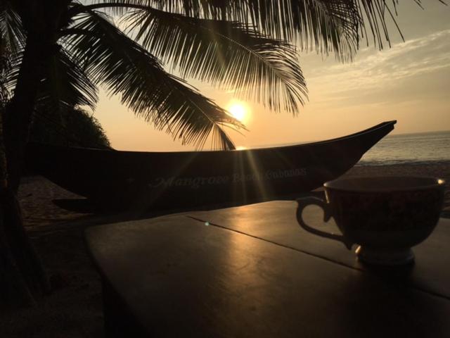 Mangrove Beach Cabana photo