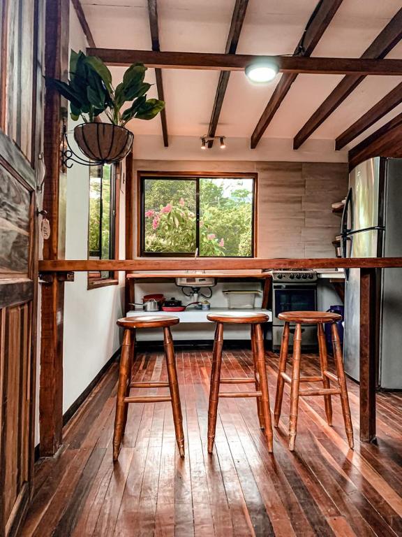 Kitchen, Cabinas Montesol in Puerto Viejo de Talamanca