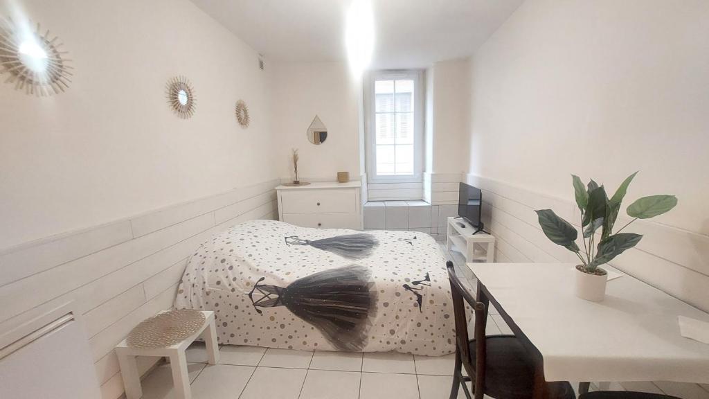 STUDIO MEUBLÉ AU PIED DU CHATEAU - 5