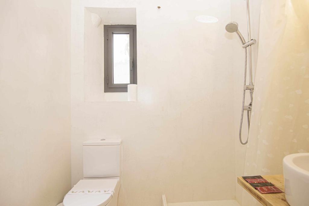Apartamento Tr Auriga en el Barri Vell, Girona - 5