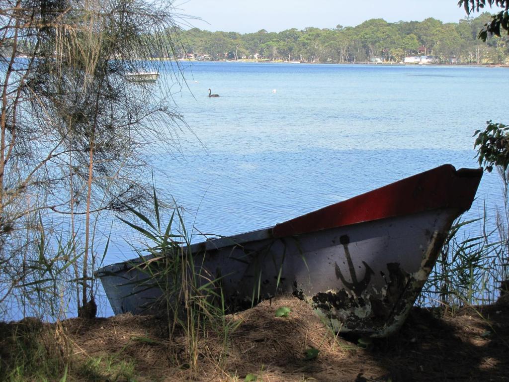 Surrounding environment