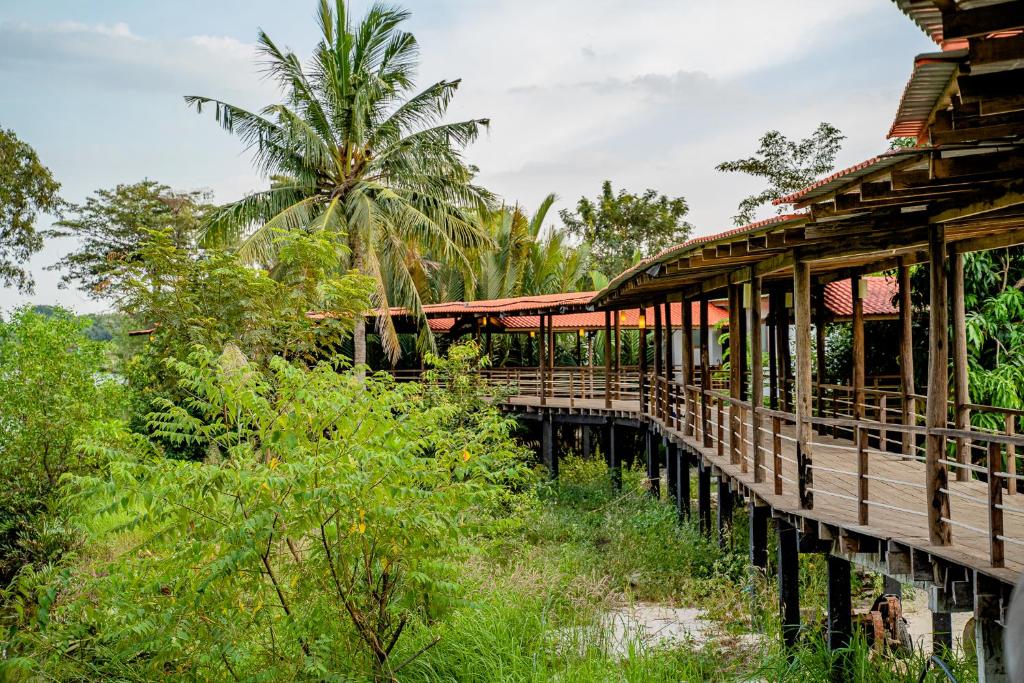 Surrounding environment