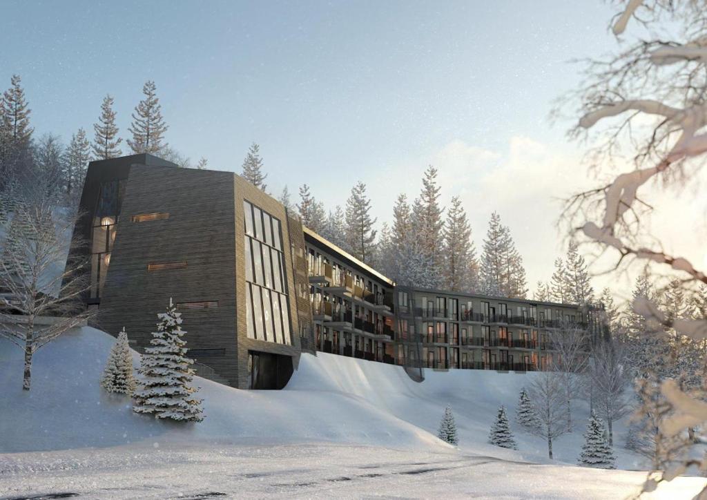 2. Basecamp..
