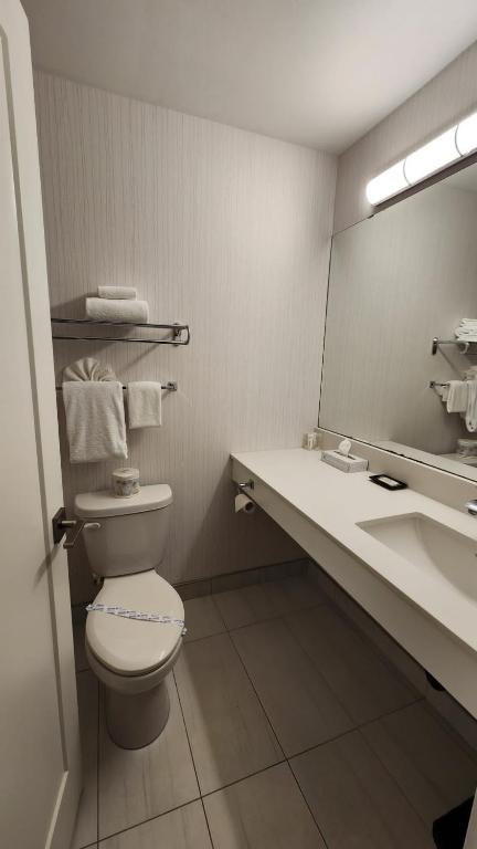 The Cedars Inn Hotel & Convention Centre photo