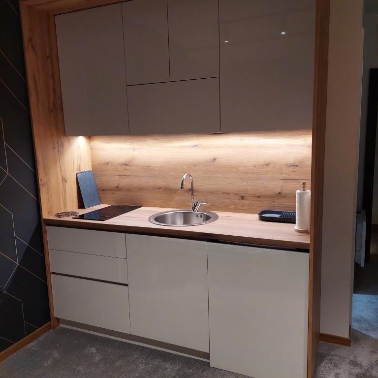Nela apartmani (u hotelu Djina) - 2