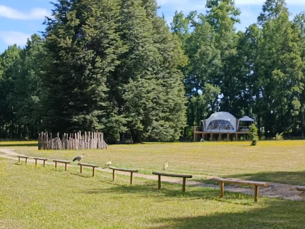 Domo Refugio - 4