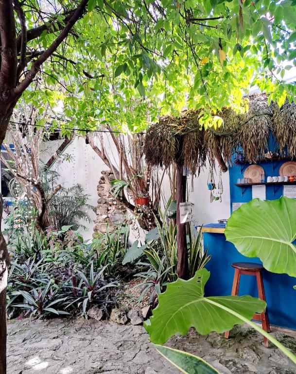 Hostal Jardin photo