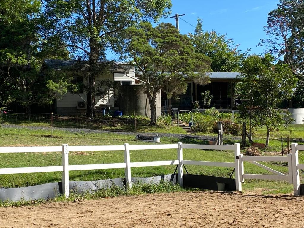 Pet Friendly Palomino Cottage photo
