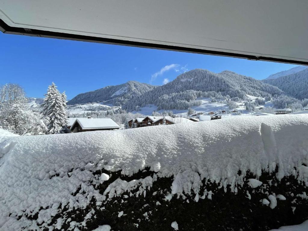 Studio Cabine à Praz-sur-Arly, 4 pers, proche pistes et village, parking et extérieur privé - 3