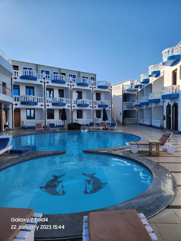 Seaview Hotel Dahab photo