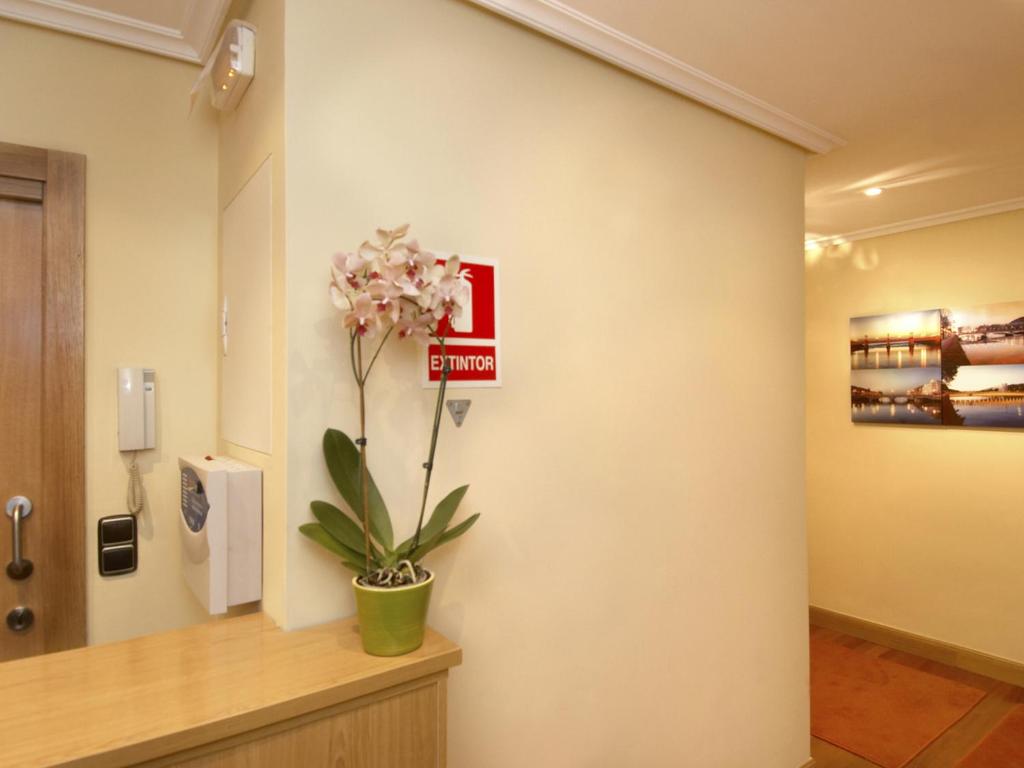 Pension Anoeta - 5