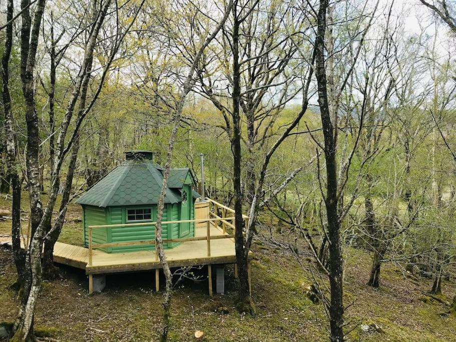 Tree Top Cabin, Dolgellau photo 6