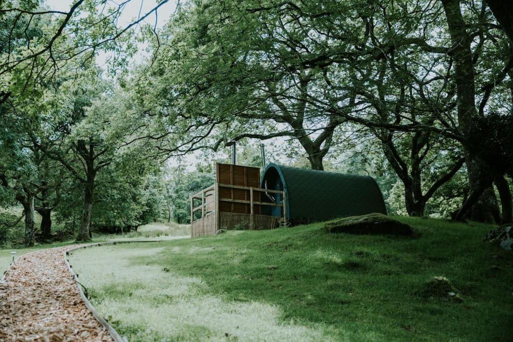Willow Cabin photo 5