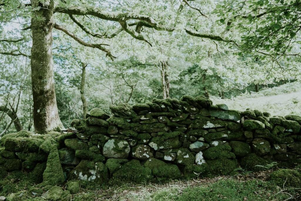 Oak Cabin, Barmouth photo 8