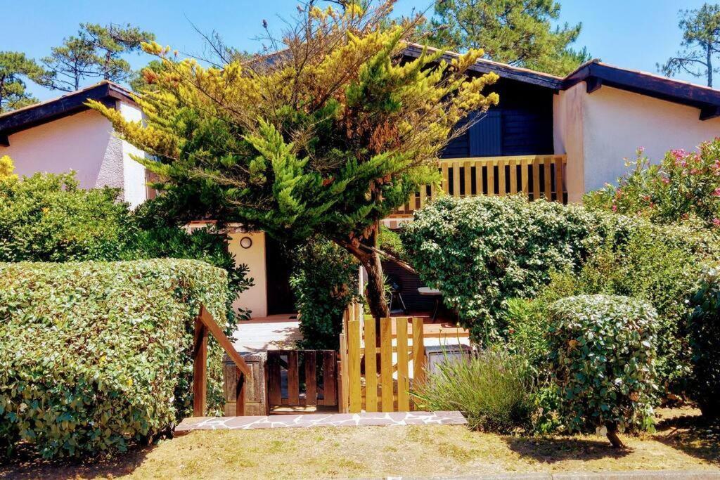 Le Petit Eden des Dunes - 4