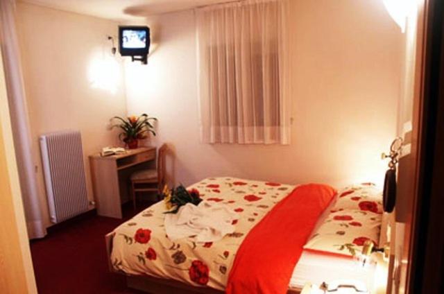 Hotel Zanon - 5