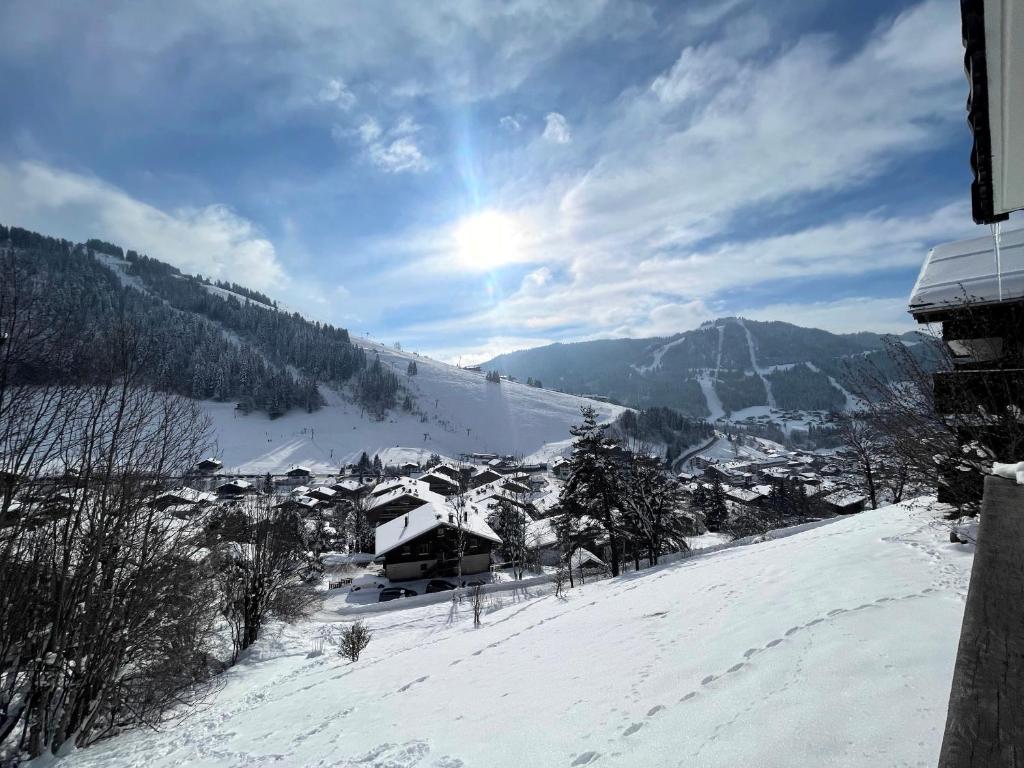 Tendieu Soleil B - Appartement dans chalet, vue montagnes - 3
