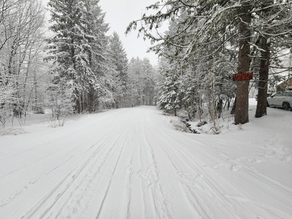 Ski in/out Spruce Glen Townhomes on Great Eastern Trail