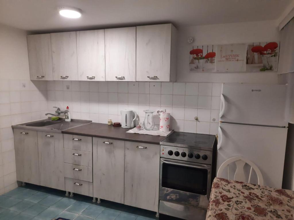 Apartment Sofija Vracar - 5