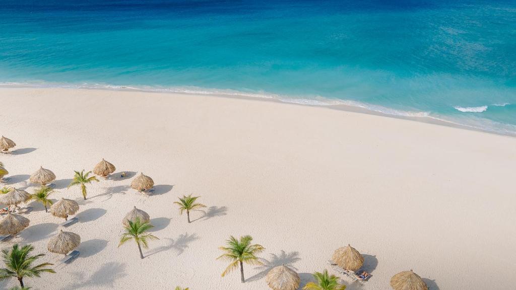 Manchebo Beach Resort and Spa photo