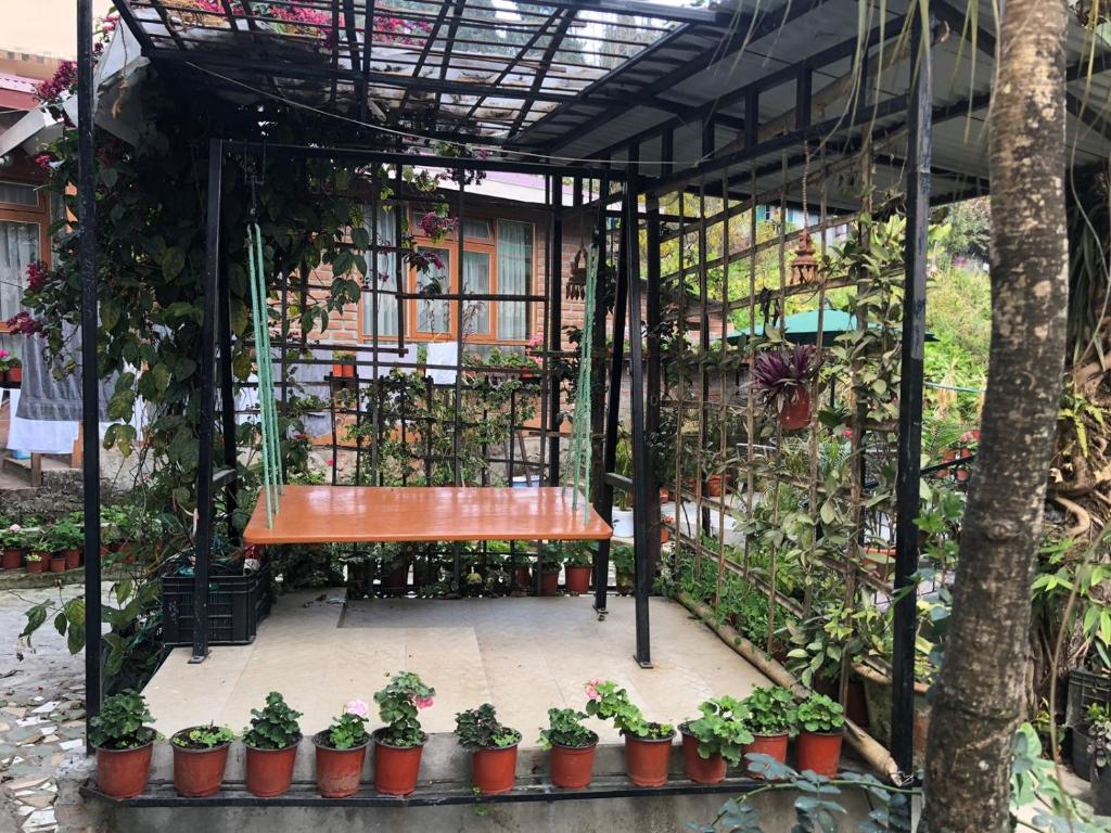 Roots Shoots & Beds photo