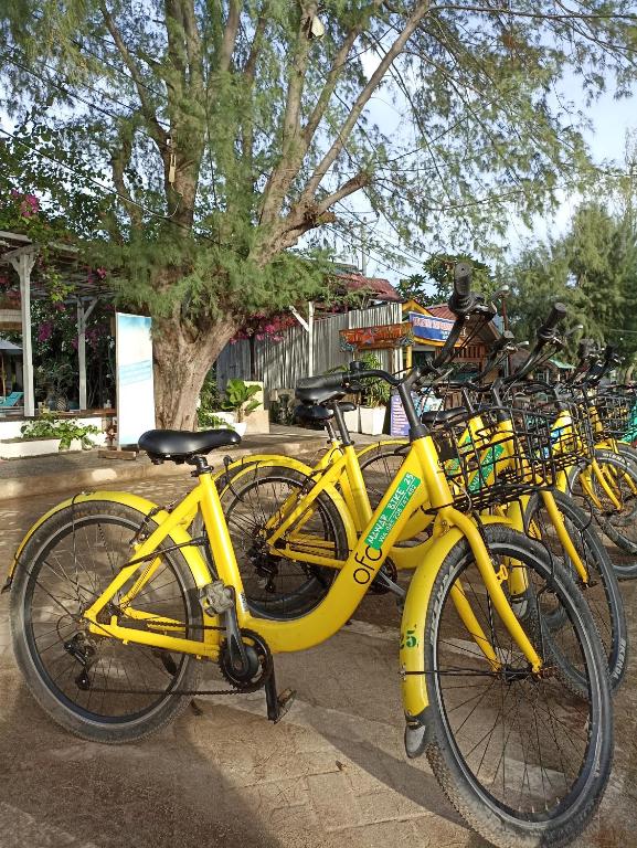 Programlehetőségek