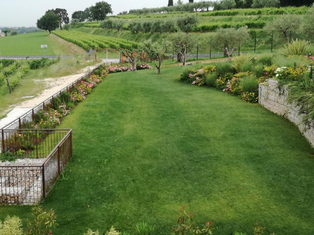 Agriturismo La Rondinella - 3