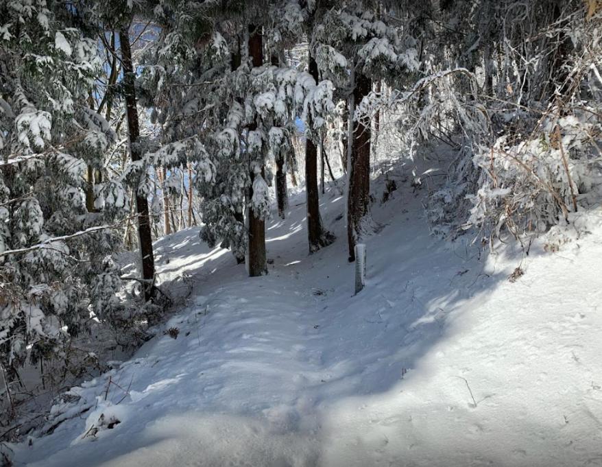 Surrounding environment