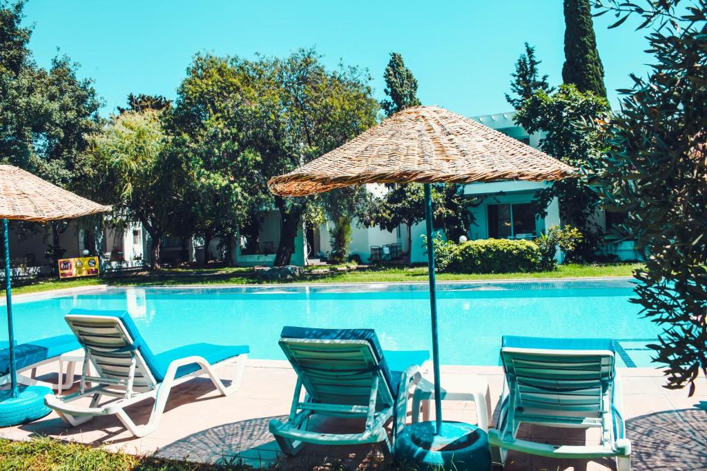 Muskebi Apart Otel photo