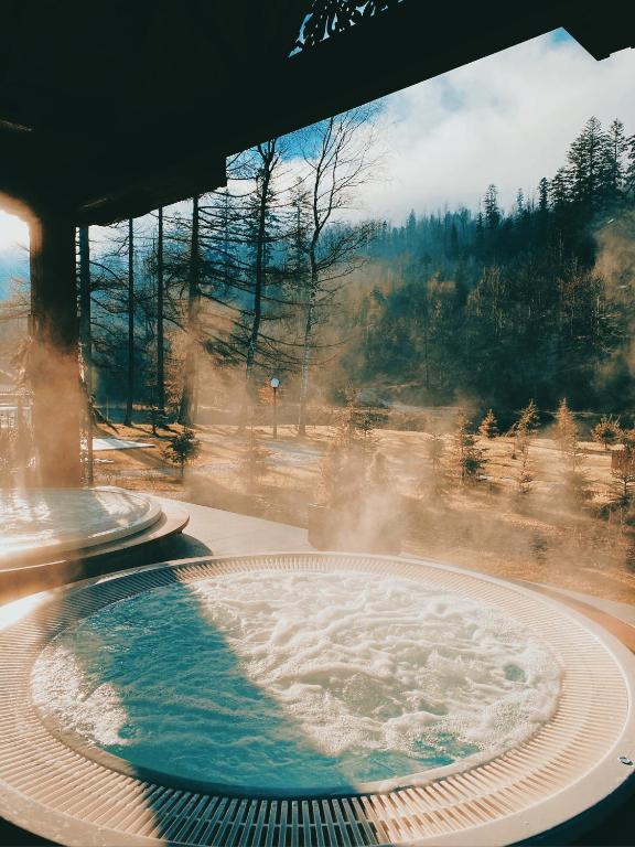 Aries Hotel &amp; SPA Wisla — Hotel in Wisla