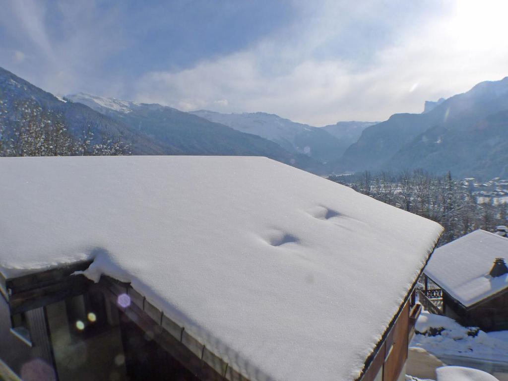 Appartement calme à Samoëns, 2 chambres, animaux admis, proche centre - FR-1-629-24 - 2