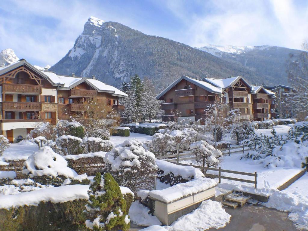 Studio confortable à Samoëns avec parking et animaux acceptés - FR-1-629-118 - 3