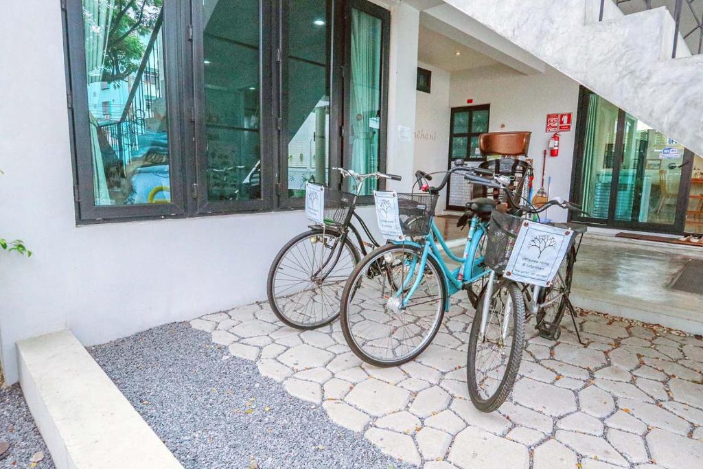 Sports and activities