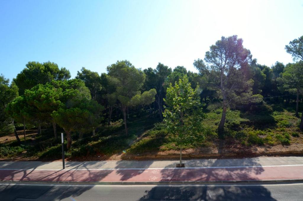 Magda Park J 2 B - 5