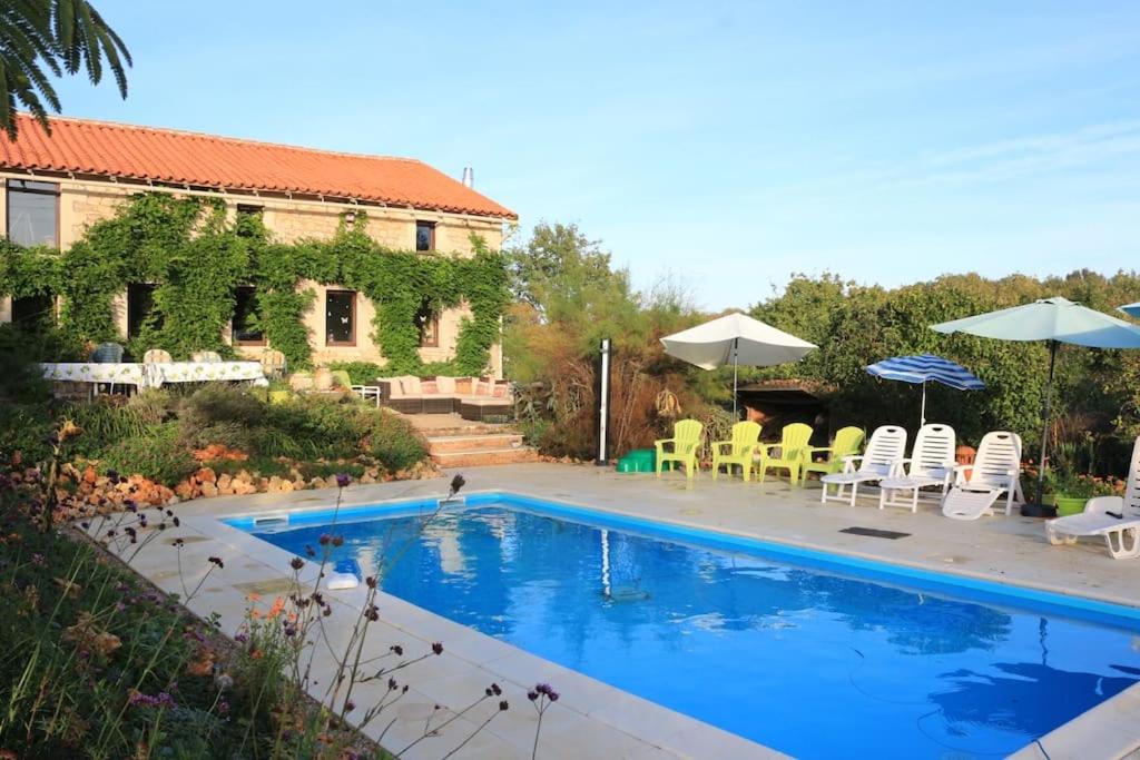 Another Day in Paradise, Lizant