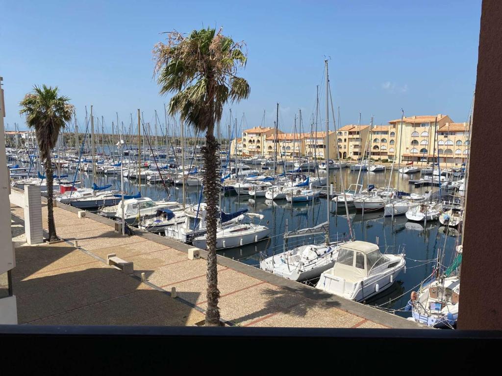 Appart 3 Pièces avec Clim pour 4 pers, Face Port à Port Leucate - FR-1-81-579 - 3
