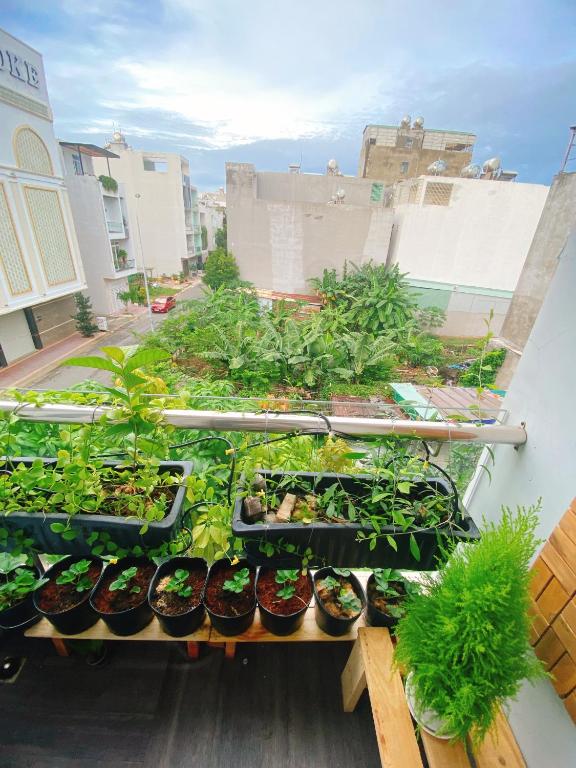 O Vung's Homestay