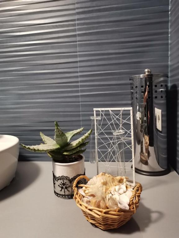 M&M Apartment - 5