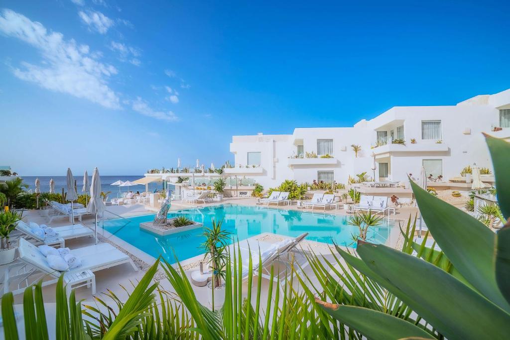 Lani's Suites de Luxe - Adults Only - 4