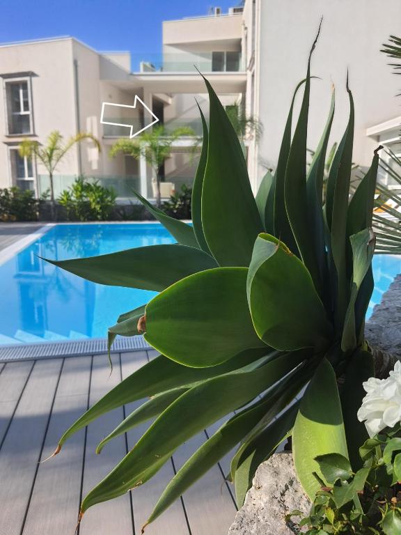 MINERVA LUXURY TOWN CENTER , POOL AND PARKING - 4