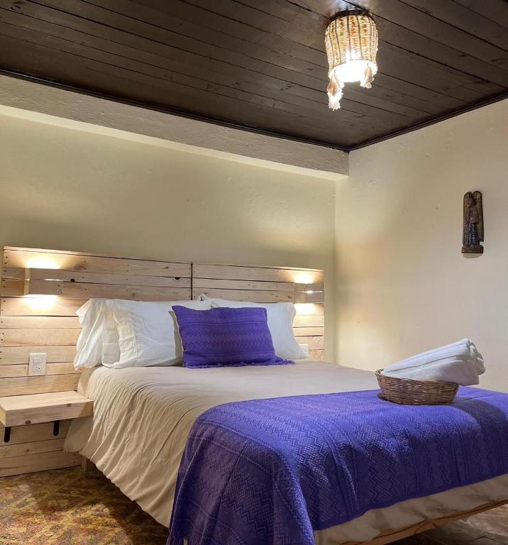 Casa Cheleb - 3