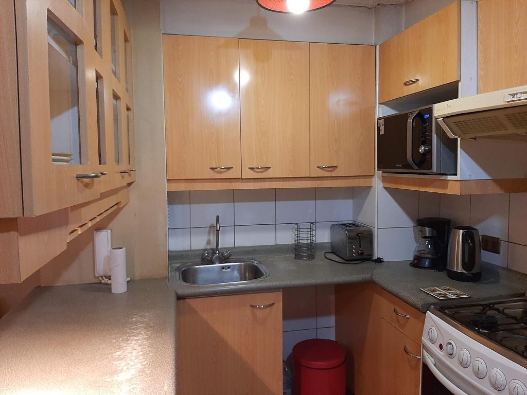 Departamento full amoblado 1 dormitorio - 2