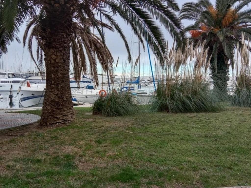 Appartement T2 avec Parking Privé et Balcon à Canet Plage - FR-1-696-21 - 2
