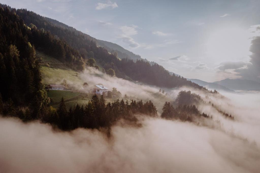 Mittersteinerhof - 2