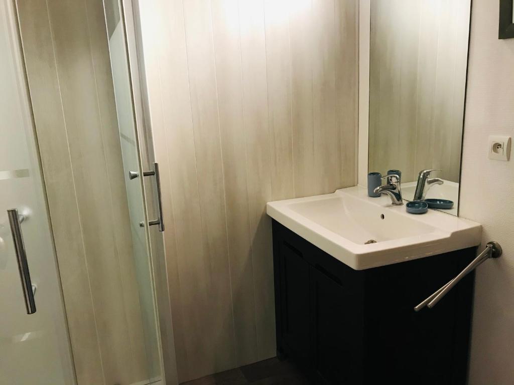 Appartement cosy 2-4 pers avec terrasse et parking - FR-1-629-32 - 5
