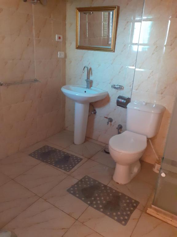 Villa Nile House Luxor photo