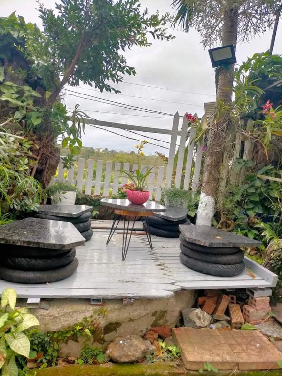 Ly's homestay