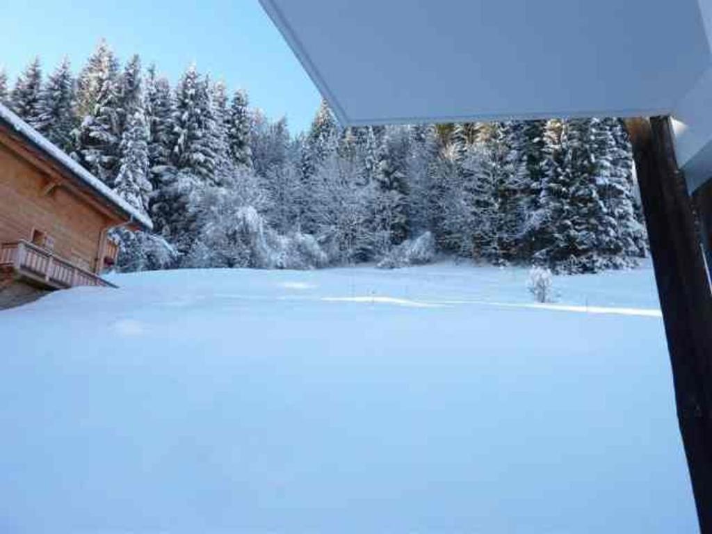 Appartement 3 pièces, Morzine, animaux admis, parking privé - FR-1-524-34 - 5