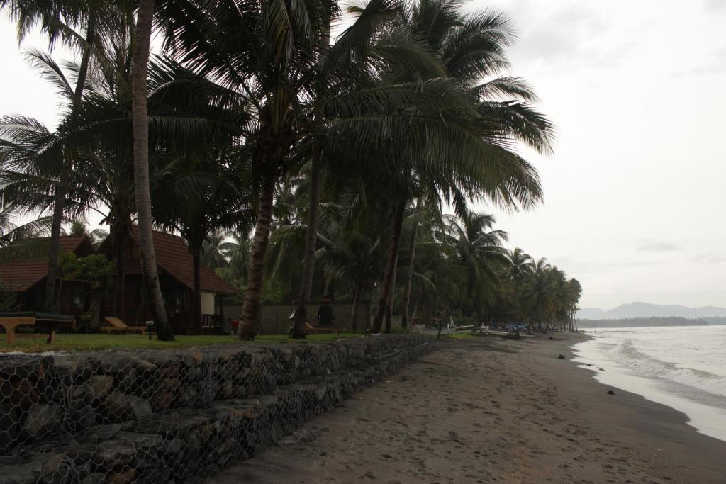 Beach, Mina Tanjung Hotel in Lombok